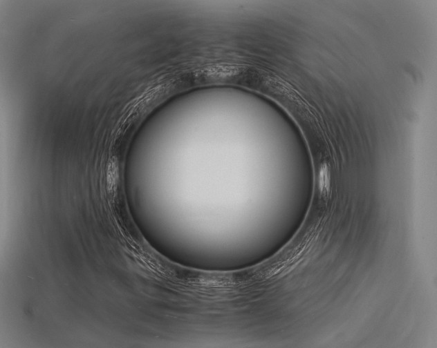 X0000115841299200911131522