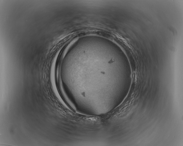 X0000115841303200911131523