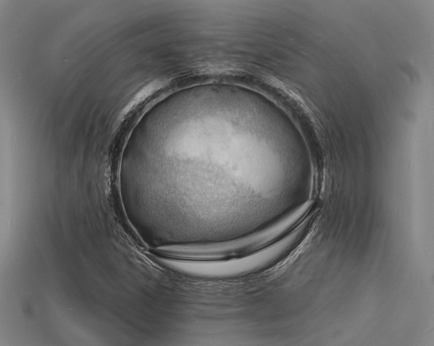 X0000115841306200911131523