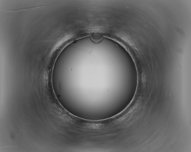 X0000115841309200911131523