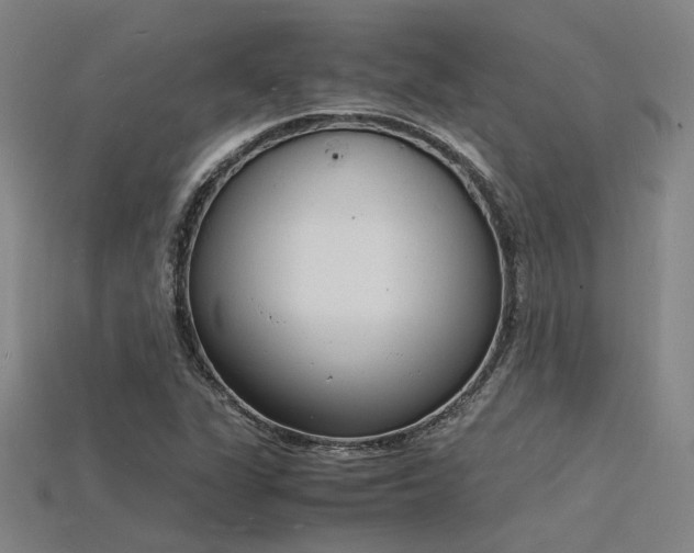X0000115841311200911131523
