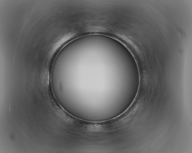 X0000115841317200911131523