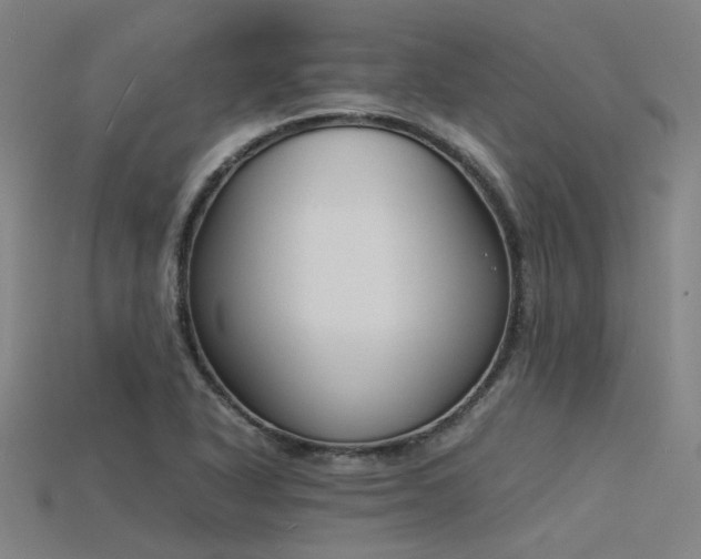 X0000115841318200911131523