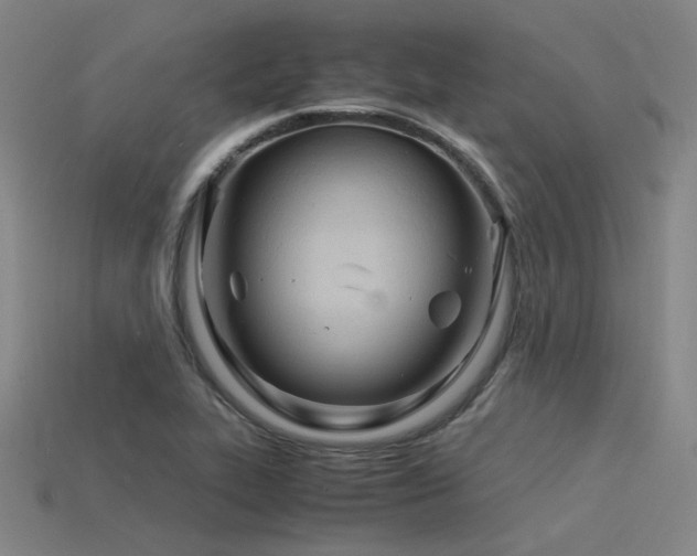 X0000115841319200911131523