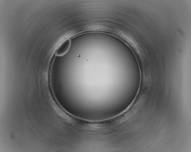 X0000115841330200911131523
