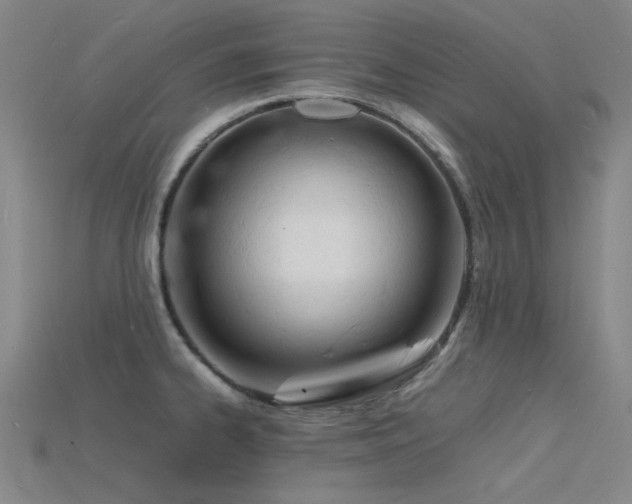 X0000115841334200911131523