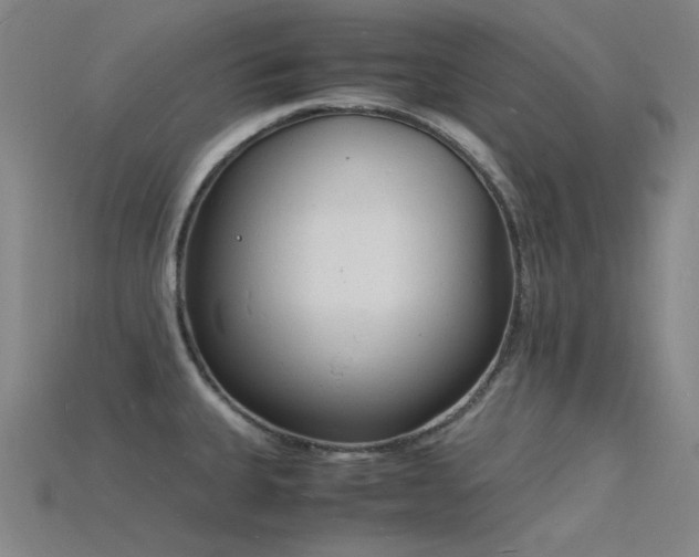 X0000115841335200911131523