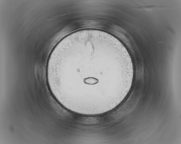 X0000115841338200911131523
