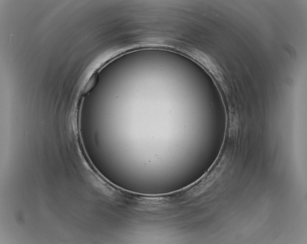 X0000115841342200911131523