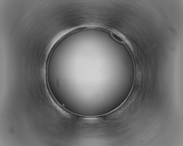 X0000115841343200911131523