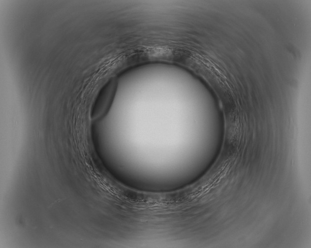 X0000115841345200911131522