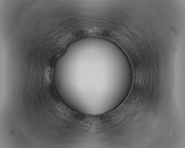 X0000115841346200911131522