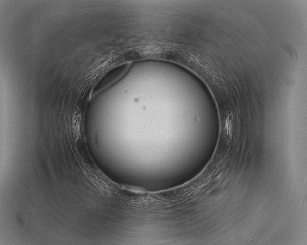 X0000115841348200911131522