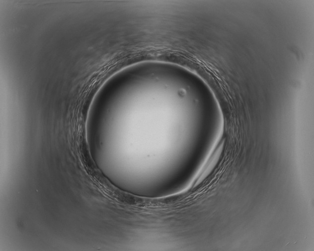 X0000115841349200911131522