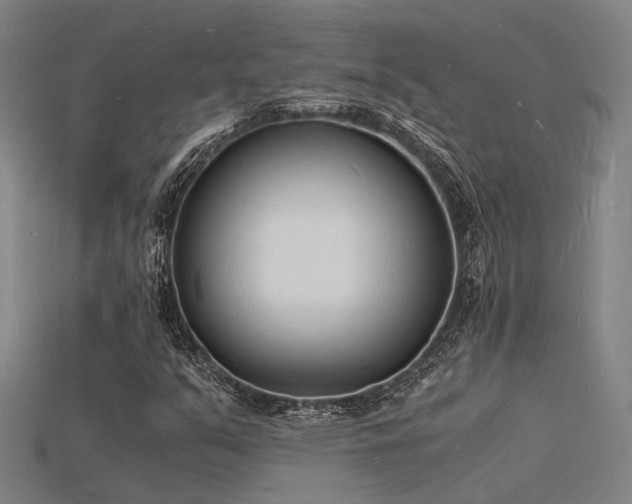 X0000115841351200911131522