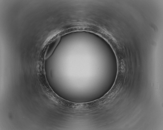 X0000115841352200911131522