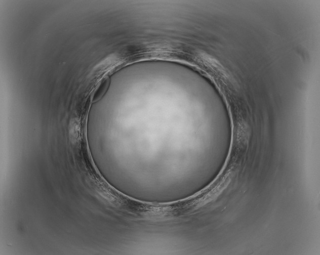 X0000115841353200911131522