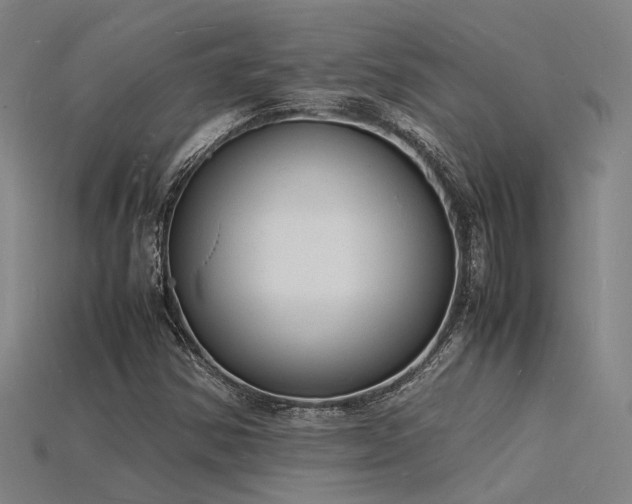 X0000115841354200911131522