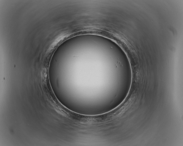 X0000115841355200911131522