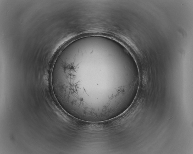 X0000115841356200911131522