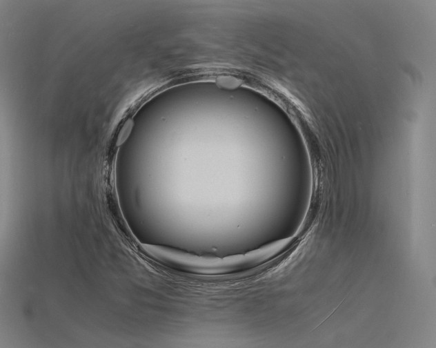 X0000115841357200911131522