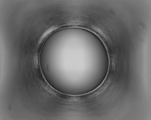 X0000115841358200911131522