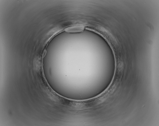 X0000115841361200911131522