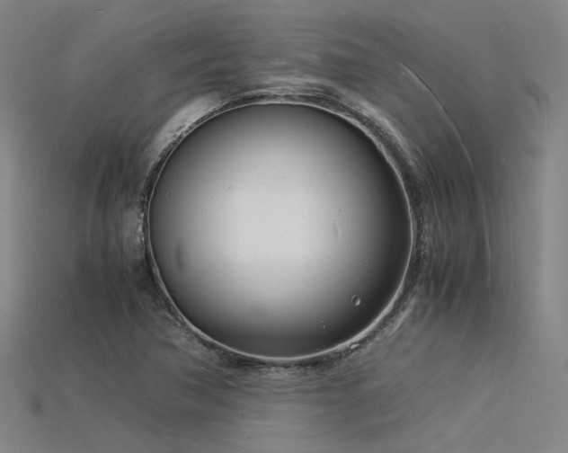 X0000115841362200911131522