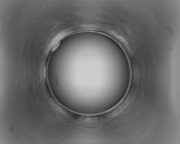 X0000115841365200911131522