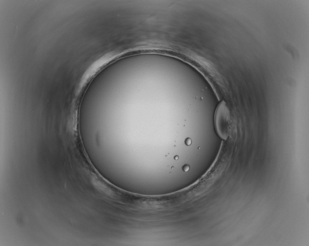 X0000115841366200911131522