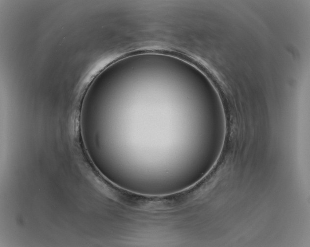 X0000115841367200911131522