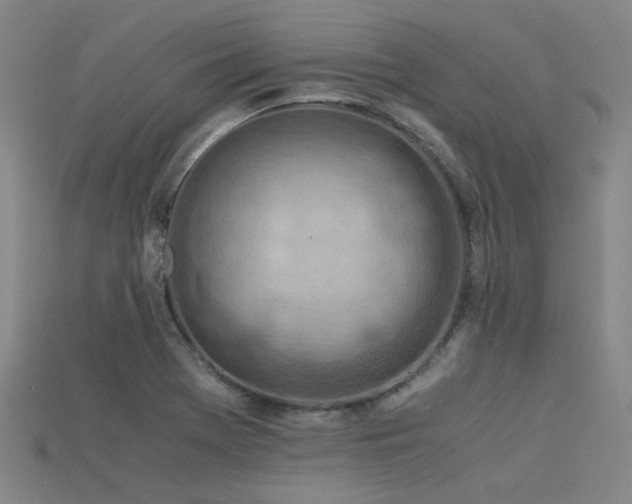 X0000115841369200911131522