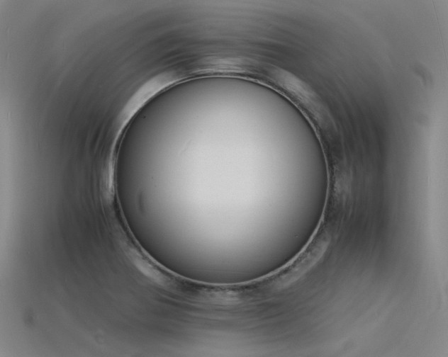 X0000115841370200911131522