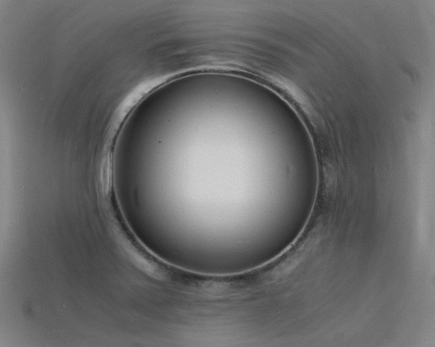 X0000115841371200911131522