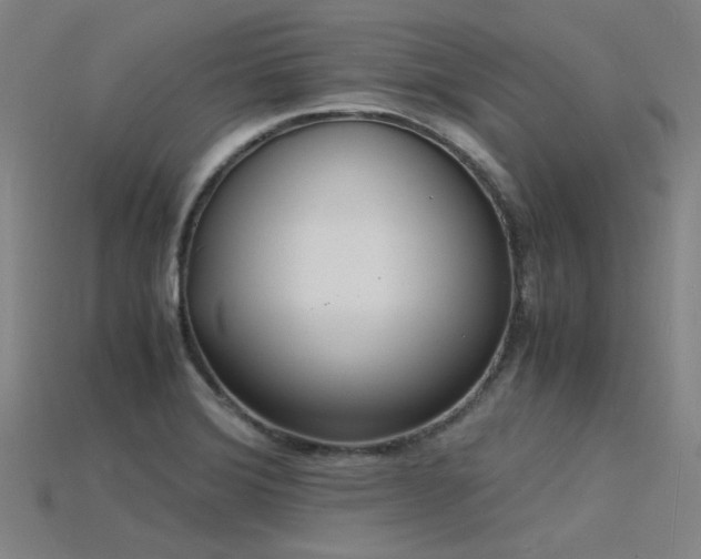 X0000115841372200911131522