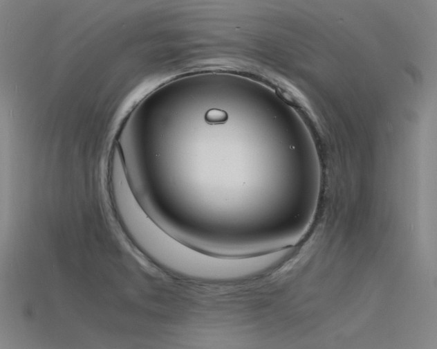 X0000115841373200911131522