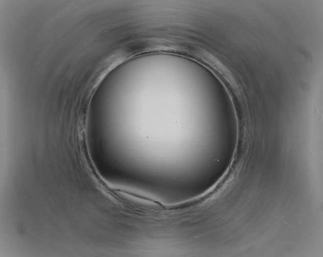 X0000115841377200911131522