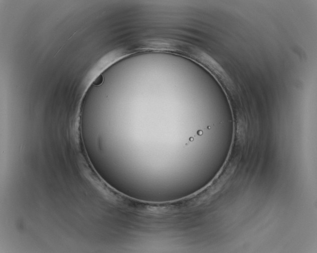X0000115841378200911131522
