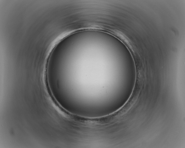 X0000115841379200911131522