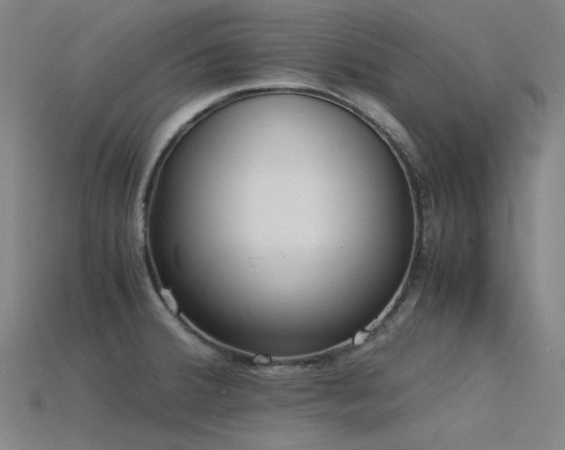 X0000115841380200911131522
