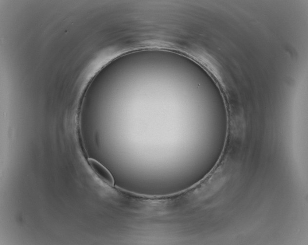 X0000115841381200911131522