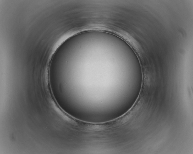 X0000115841382200911131522