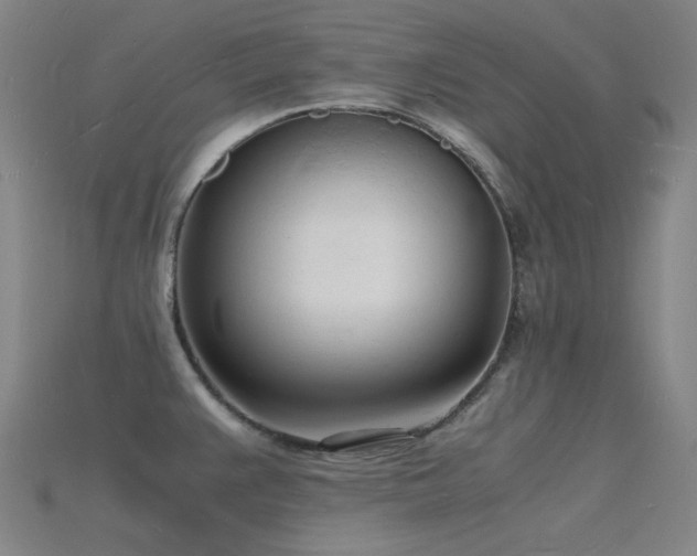 X0000115841383200911131522