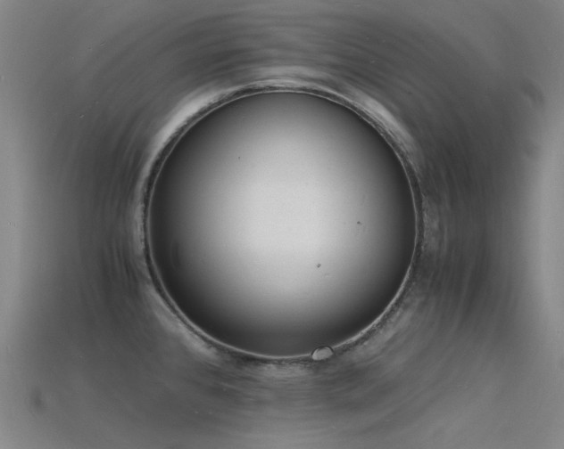 X0000115841384200911131522