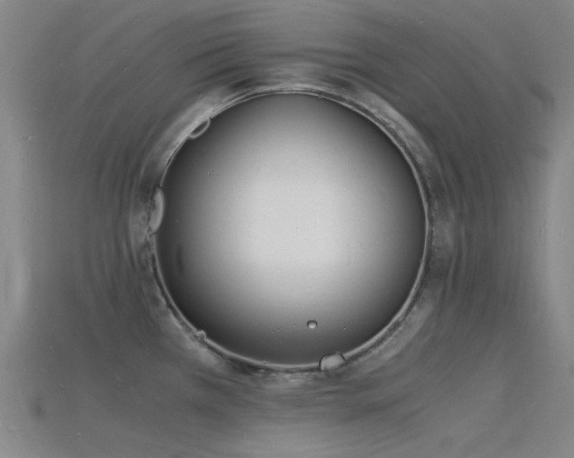 X0000115841385200911131522