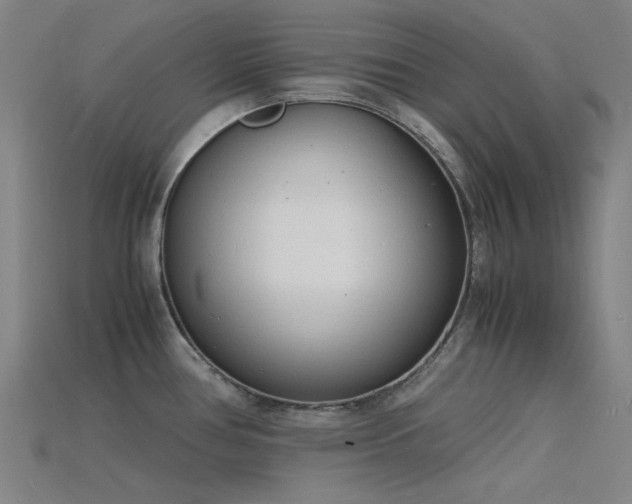 X0000115841386200911131522
