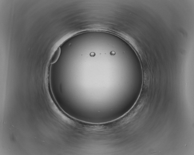 X0000115841387200911131522