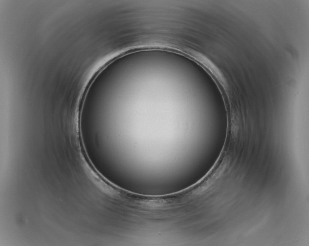 X0000115841388200911131522