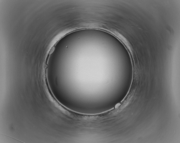 X0000115841389200911131522