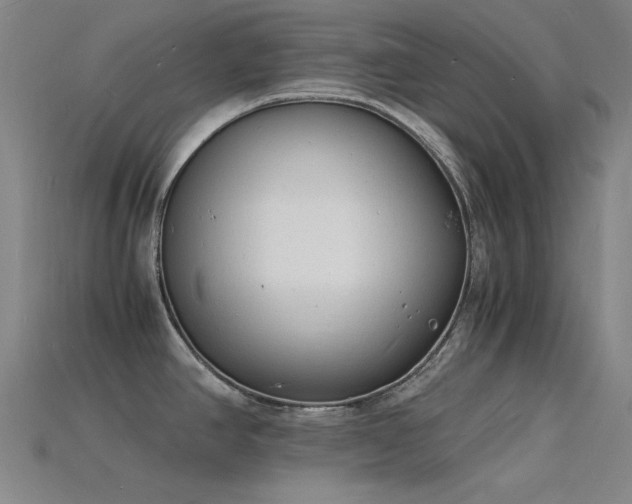 X0000115841390200911131522